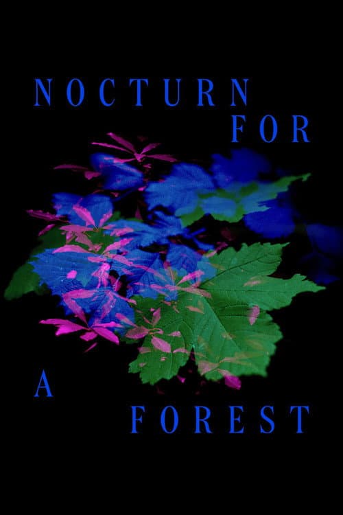 Poster for Nocturne for a Forest