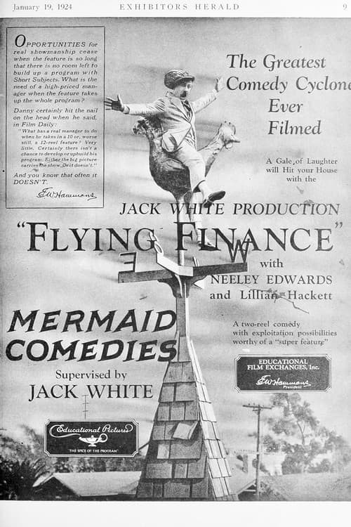 Poster for Flying Finance