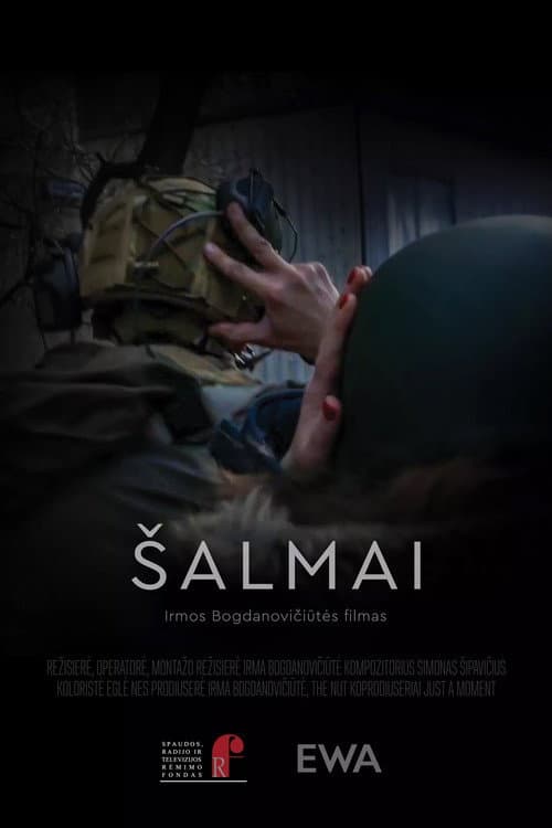 Poster for Helmets