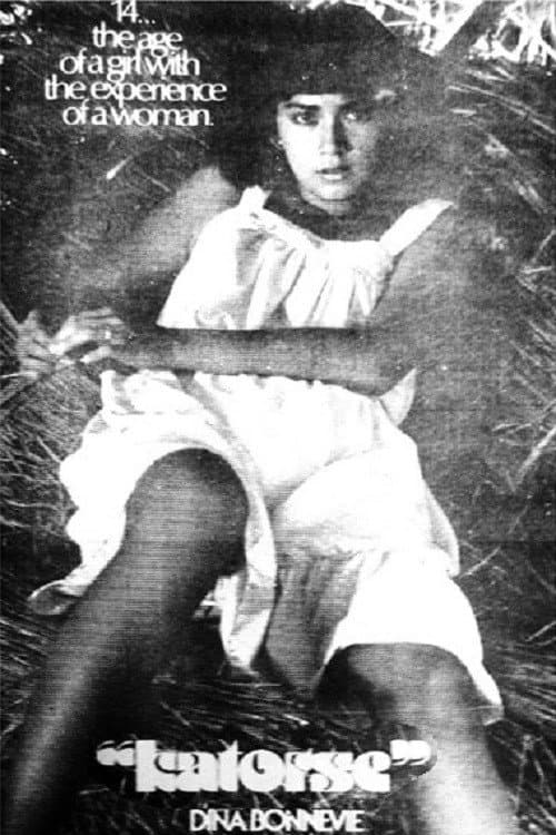 Poster for Fourteen