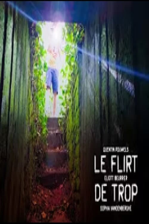 Poster for Le flirt de trop