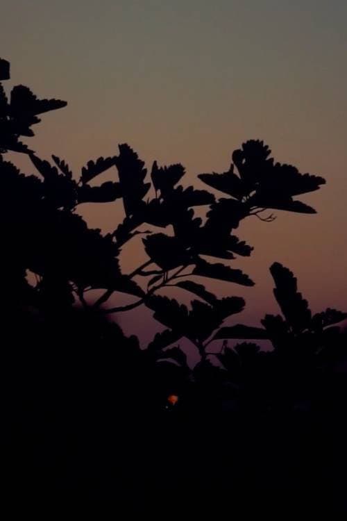 Poster for Sunset(for Eli)
