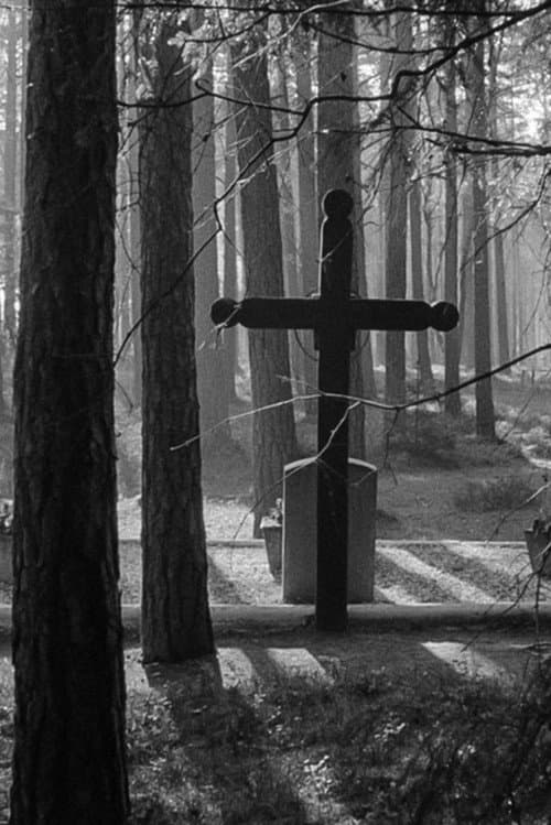 Poster for Piasnica Forest