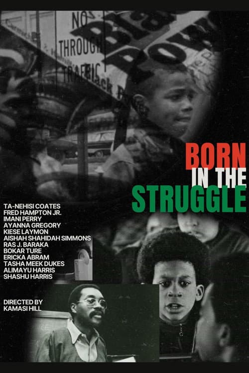 Poster for Born in the Struggle