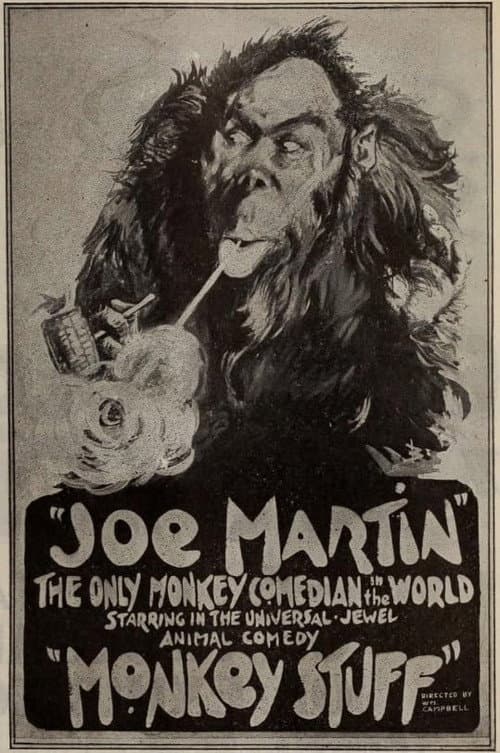 Poster for Monkey Stuff