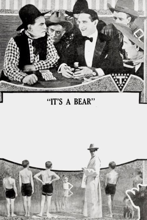 Poster for It's a Bear