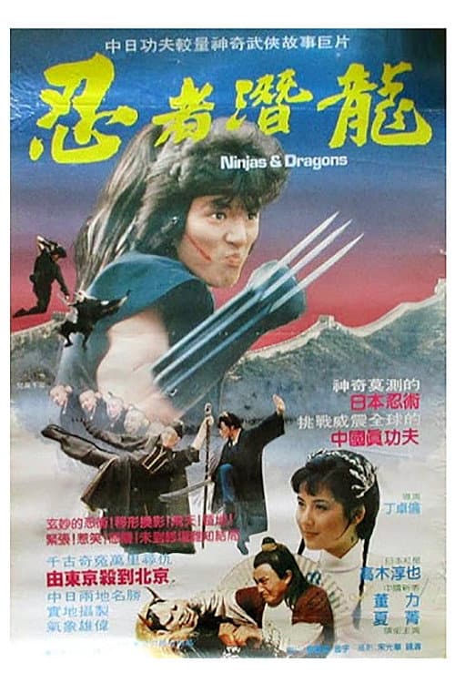 Poster for Ninjas and Dragons