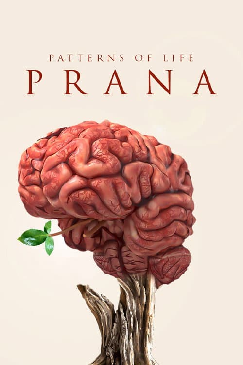 Poster for Patterns of life: Prana