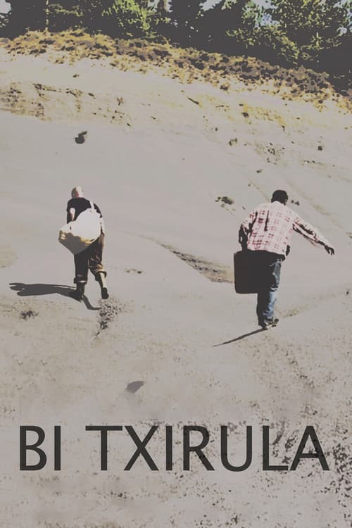 Poster for Bi txirula