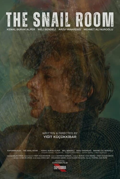 Poster for The Snail Room