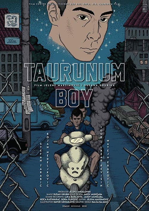 Poster for Taurunum Boy