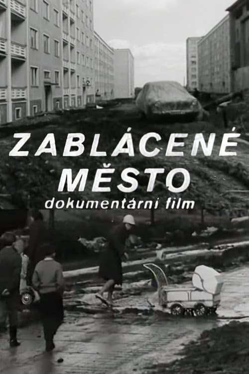 Poster for Mud Covered City
