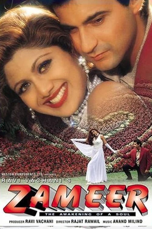 Poster for Zameer: The Awakening of a Soul