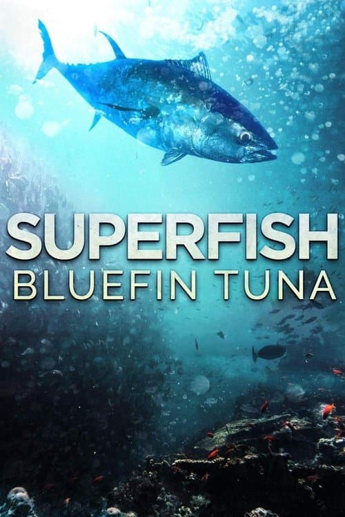 Poster for Superfish: Bluefin Tuna