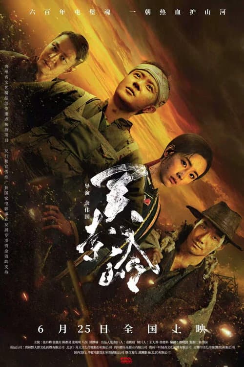 Poster for 关索岭