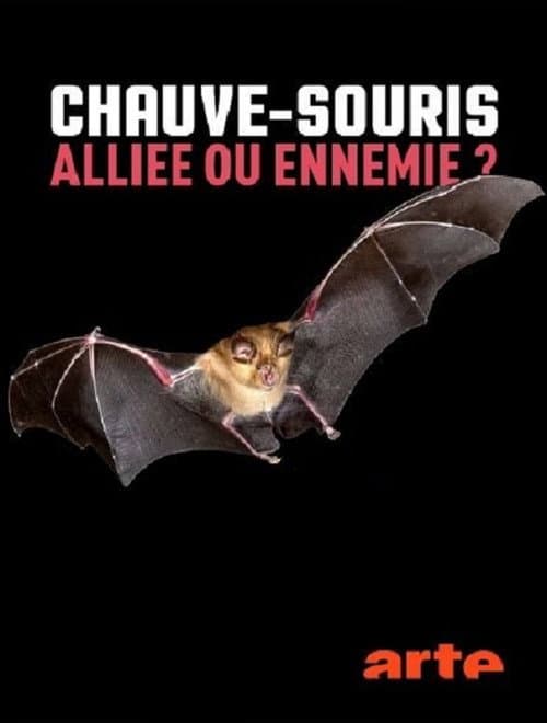 Постер до фільму «Chauve-souris: alliée ou ennemie?»