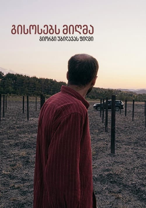 Poster for Beyond the Bars