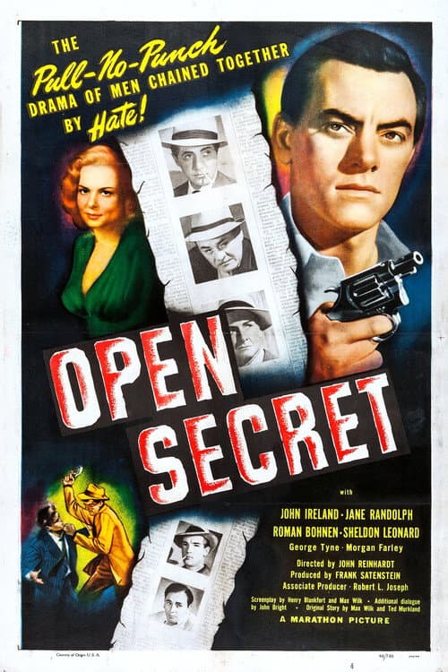 Poster for Open Secret