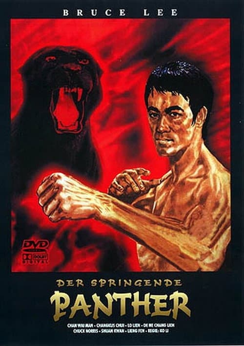 Poster for The Fist of Justice