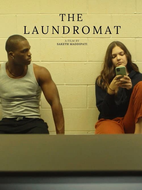 Poster for The Laundromat