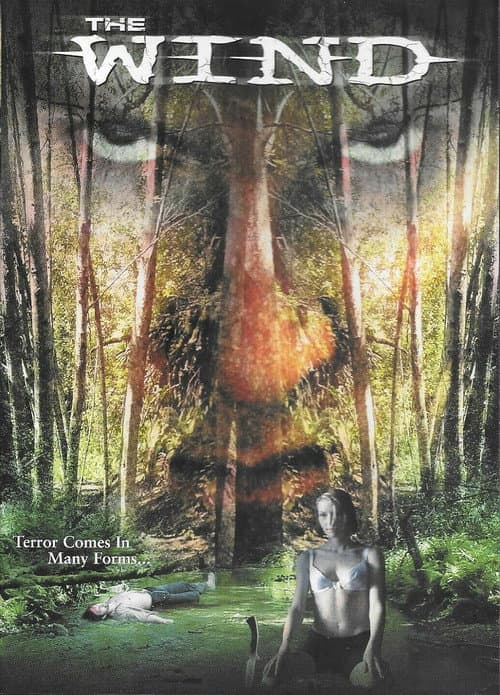 Poster for The Wind