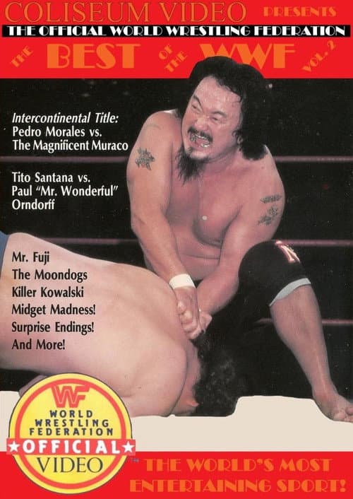 Poster for Best of the WWF Volume 2
