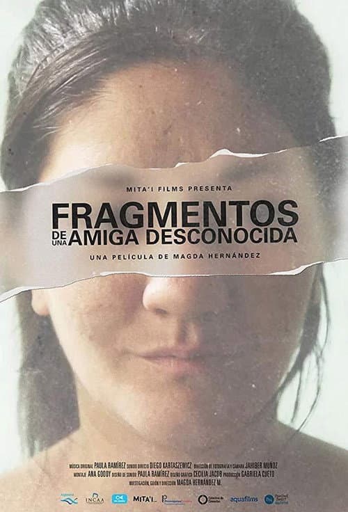 Poster for Fragments of an Unknown Friend