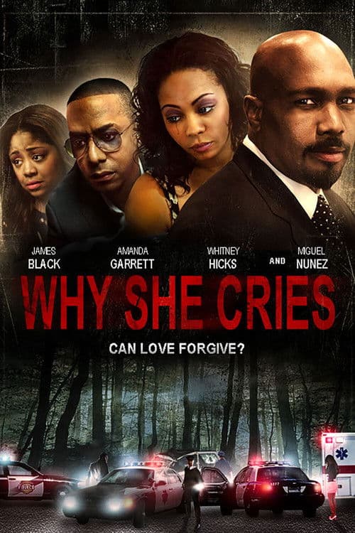 Poster for Why She Cries
