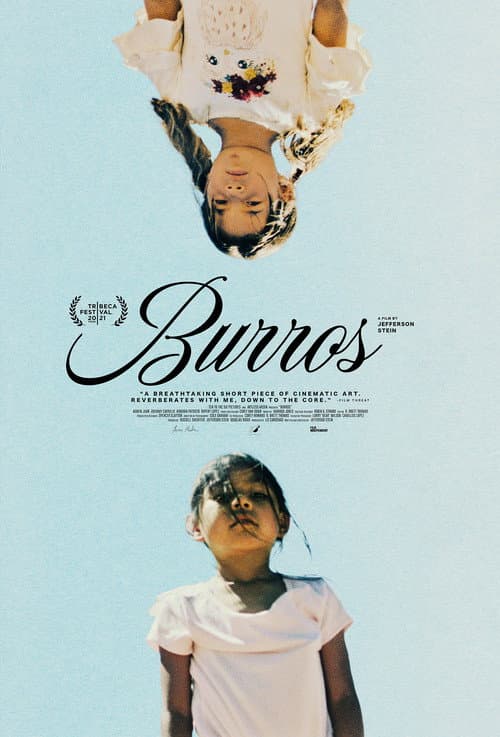 Poster for Burros