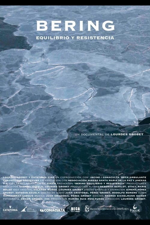 Poster for Bering. Equilibrio y resistencia