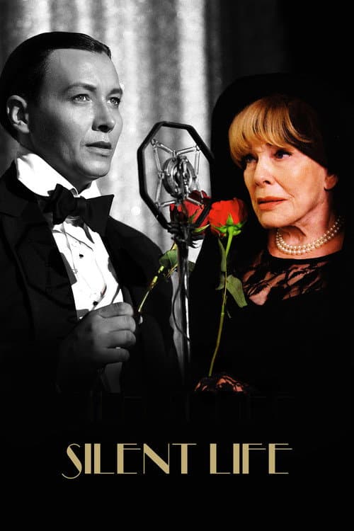 Poster for Silent Life: The Story of the Lady in Black