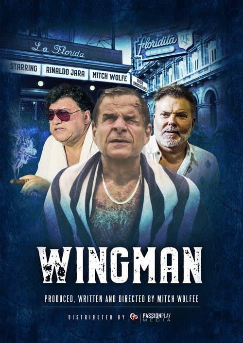 Poster for WingMan