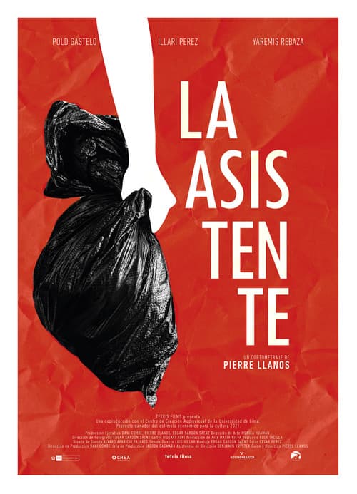Poster for The Assistant