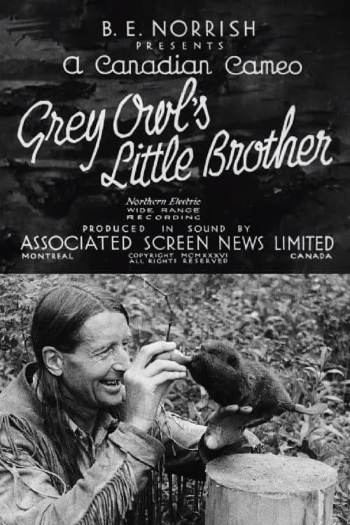 Poster for Grey Owl's Little Brother
