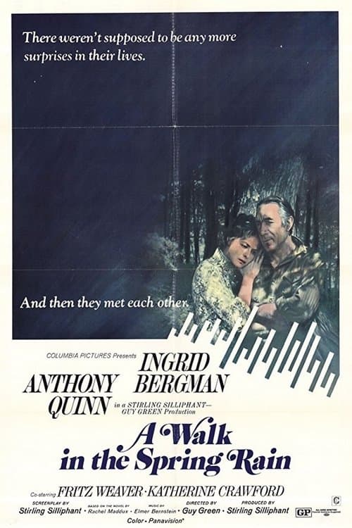 Poster for A Walk in the Spring Rain