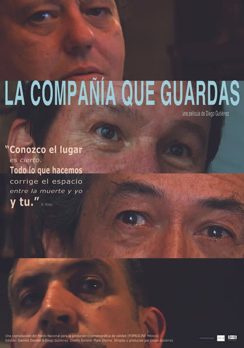 Poster for The Company You Keep