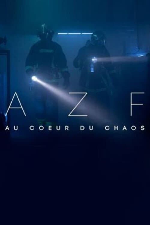 Poster for AZF : au cœur du chaos