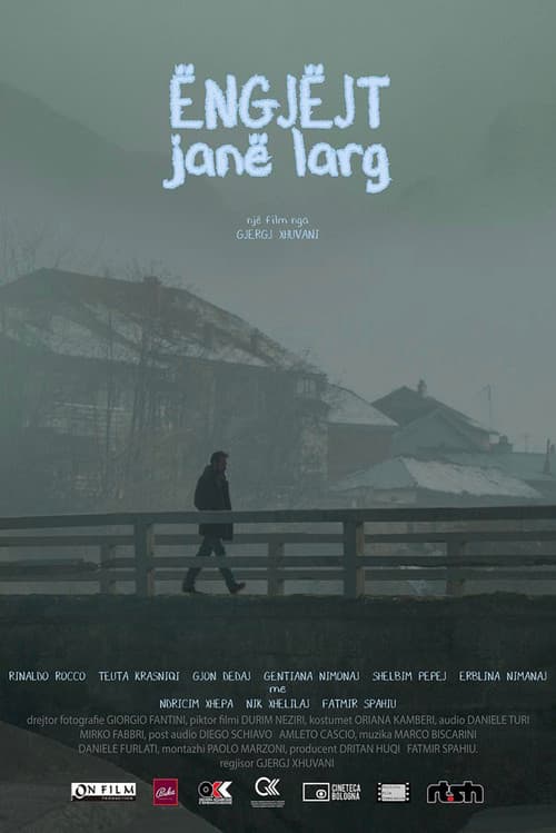 Poster for Distant Angels