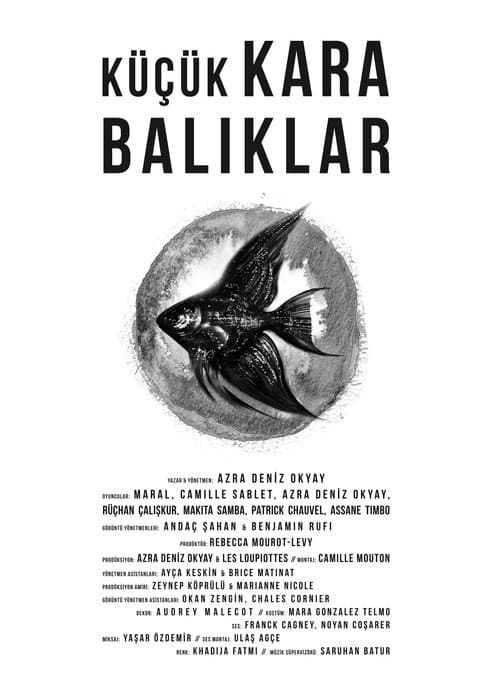 Poster for Little Black Fishes