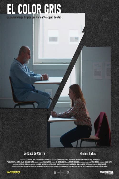 Poster for El color gris
