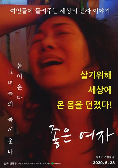 Poster for Wonderful Woman