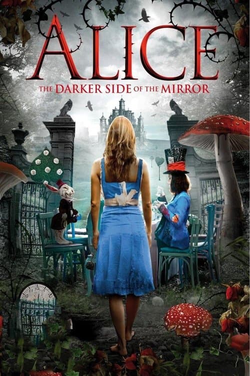 Poster for The Other Side of the Mirror