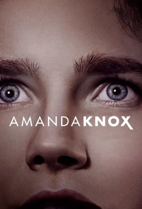 Poster for Amanda Knox