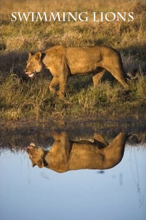 Poster for Swimming Lions