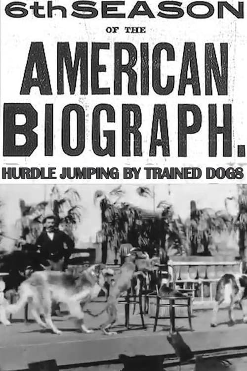 Poster for Hurdle Jumping; by Trained Dogs