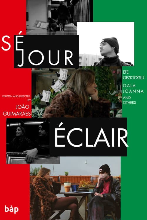 Poster for Séjour éclair