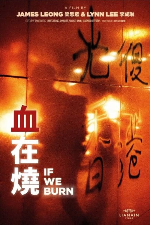 Poster for If We Burn