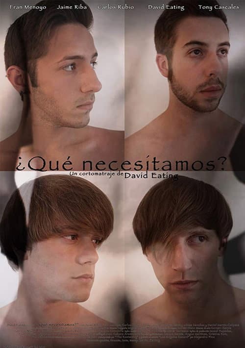Poster for What Do We Need?