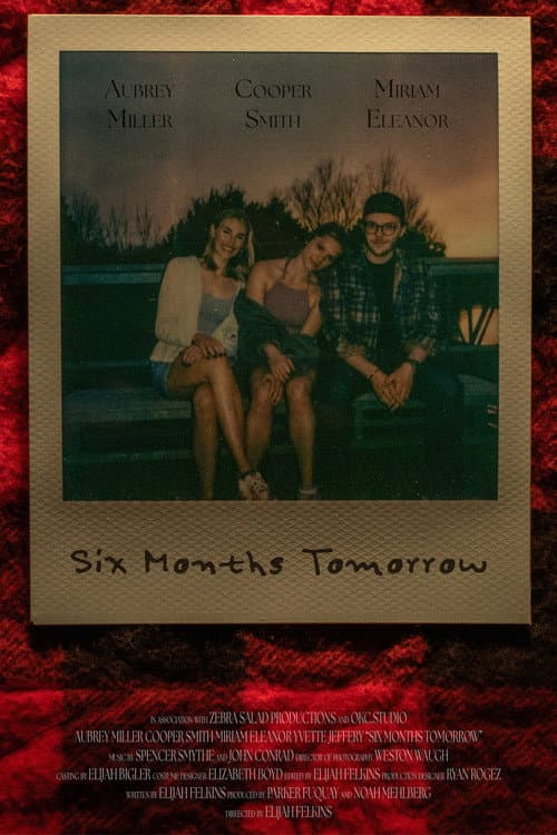 Poster for Six Months Tomorrow
