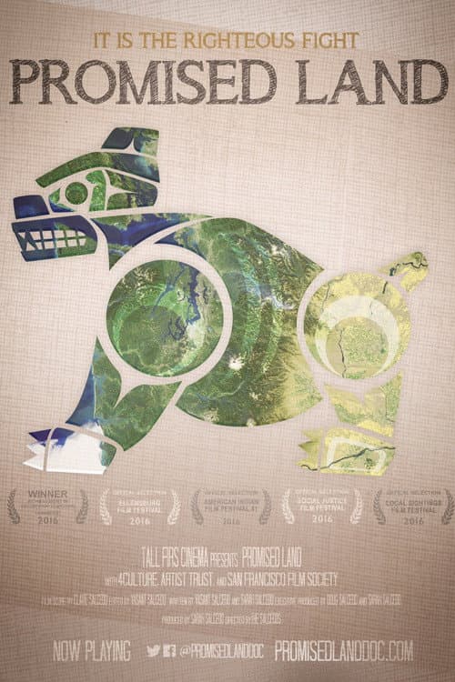 Poster for Promised Land